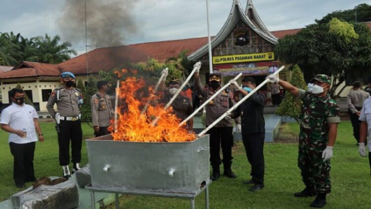 Pemusnahan BB di Pasaman Barat.