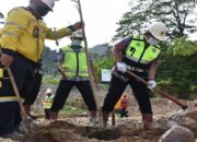 Ada 4000 Batang Pohon Ditanam di Area Reklamasi Semen Padang