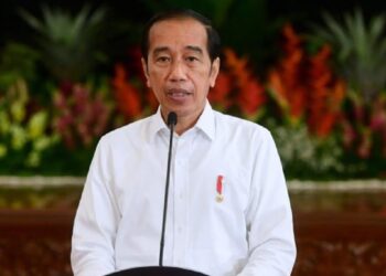 Perubahan Iklim Dunia bakal makin Mengerikan, Ini Pesan Jokowi!
