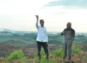 Proyek IKN Ramai Dikritik, Disebut hanya Akan Timbulkan Masalah Baru