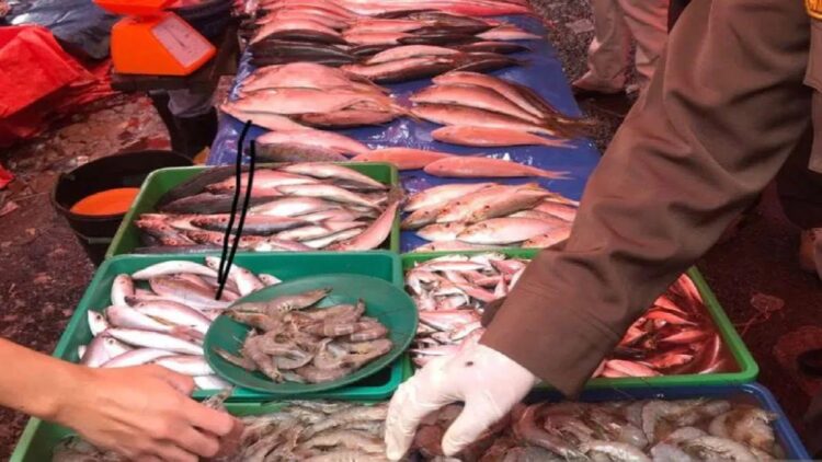 Petugas mengambil sampel hasil perikanan yang dijual di salah satu pasar tradisional di Kabupaten Pasaman Kamis (24/3/2022). (Antarasumbar/HO-SKIPM Padang)