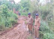 Pemkab Pasbar Buka Jalan Alternatif Menuju Talu usai Terputus akibat Longsor