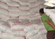 Cegah Pupuk Langka, Pemprov Sumbar Siagakan Pengawasan Ketat di Lapangan