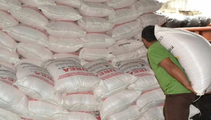 Penyaluran Pupuk Bersubsidi di Pasaman Barat Capai 6.123 Ton