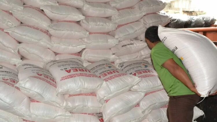 Ombudsman Temukan Distribusi Pupuk Subsidi Tak Merata di Sumbar 1 Ilustrasi pupuk bersubsidi. (ANTARA)