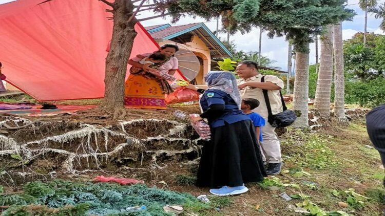 Wakil Ketua V Karang Taruna Pasaman Ulul Azmi bersama kader Karang Taruna lainnya membagikan bantuan kepada korban gempa Pasaman-Pasbar. (IST)