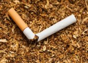 Nikotin, Bahayanya untuk Tubuh dan Cara Mengatasinya