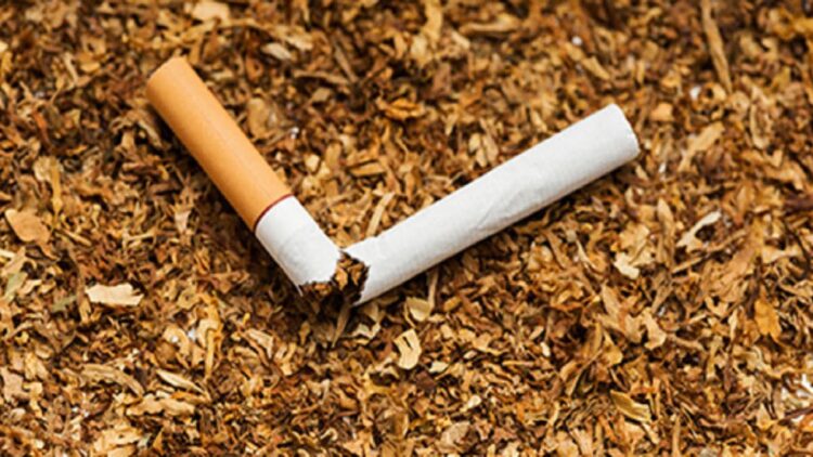 Nikotin, Bahayanya untuk Tubuh dan Cara Mengatasinya 1 ilustrasi nikotin. (dok. istimewa)