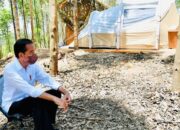 Untuk Bangun IKN Pemerintah Butuh Rp466 Triliun, Dari Mana saja Dananya?