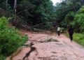Material Longsor Tutupi Jalan di Rimbo Kejahatan, Akses Warga dari Simpang Empat-Talu Pasbar Terganggu