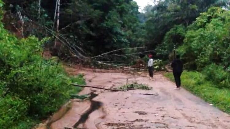 Material Longsor Tutupi Jalan di Rimbo Kejahatan, Akses Warga dari Simpang Empat-Talu Pasbar Terganggu 1 Material longsor di di Rimbo Kejahatan Jembatan Panjang, Pasaman Barat, menutupi badan jalan. (ANTARA/HO)
