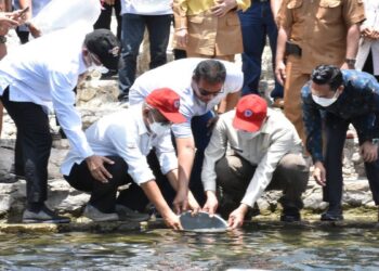 Tebar 4000 Bibit Ikan Bilih di Danau Singkarak, PT Semen Padang Diapresiasi Gubernur 5 Tebar 4000 Bibit Ikan Bilih di Danau Singkarak, PT Semen Padang Diapresiasi Gubernur