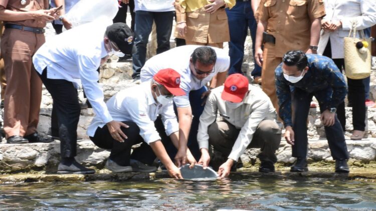 Penebaran bibit bilih dari PT Semen Padang ke Danau Singkarak.