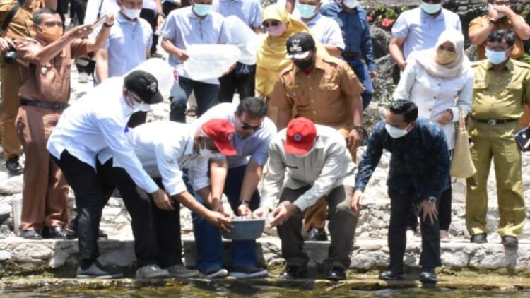 Penebaran bibit bilih dari Semen Padang ke Danau Singkarak.