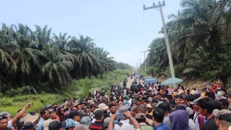 Warga Sikabau Pasbar Tuntut Serahkan Lahan Plasma 300 Ha yang Dikuasai PT BPP 1 Ratusan warga yang tergabung pada Kelompok Tani Bukit Intan Sikabau Parit Koto Balingka Pasaman Barat saat mengawal penentuan koordinat lahan plasma seluas 300 hektare oleh BPN Sumbar. (ANTARA/Altas Maulana)