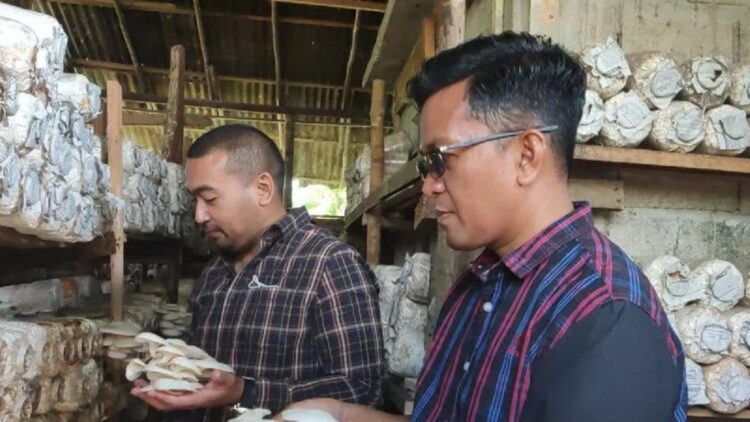 Pengembangan Usaha Jamur tak Sulit, Wagub: Payakumbuh Bisa jadi Produsen 1 Wakil Gubernur Sumbar Audy Joinaldy bersama Wakil Wali Kota Erwin Yunaz saat mengunjungi petani jamur di Kampung Jamur di Payolinyam, Kelurahan Tigo Koto Dibaruah, Kota Payakumbuh. (Antara/Akmal Saputra)
