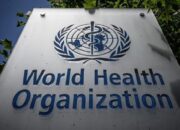 Mampu Picu Penyebaran Penyakit, WHO Minta Ukraina Segera Hancurkan Patogen di Lab Kesehatan