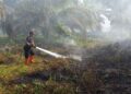 Waspada!! 10 Hektare Lahan Terbakar di Agam selama Dua Pekan