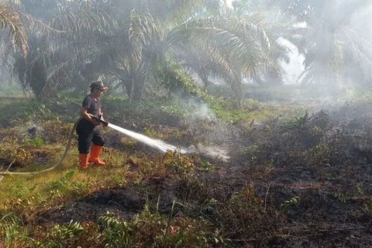 Waspada!! 10 Hektare Lahan Terbakar di Agam selama Dua Pekan 1 Pemadaman lahan yang terbakar di Agam oleh petugas.