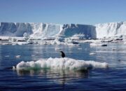 Ahli Ungkap Gunung Api Bawah Laut di Antartika Berpotensi Picu 85.000 Gempa Bumi