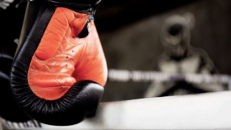 Ilustrasi sarung tinju. (net)