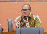 Soal Mafia Minyak Goreng, Andre Rosiade Bandingkan Kemendag dengan KPPU