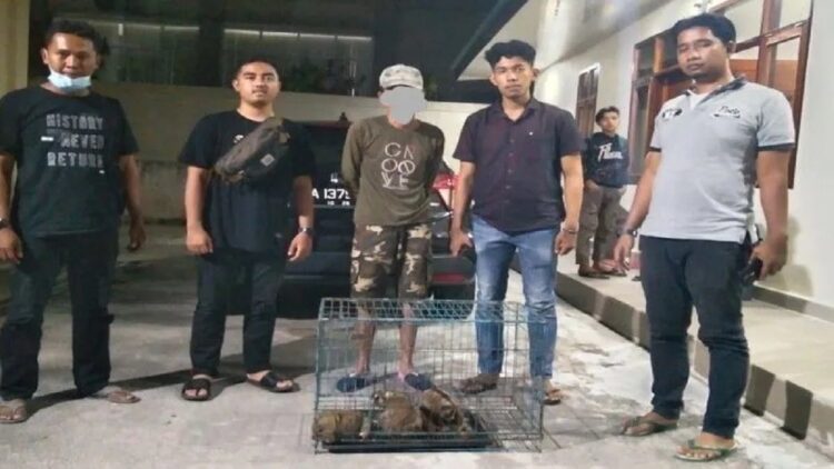 Akan Jual 3 Ekor Kukang, Pria di Agam Diciduk Tim Gabungan 1 Tersangka sedang diamankan tim gabungan. (Antara/HO-BKSDA Sumbar)