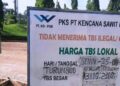 Harga Sawit di Solok Selatan Turun Rp800 per kilogram, Pengumpul Rugi