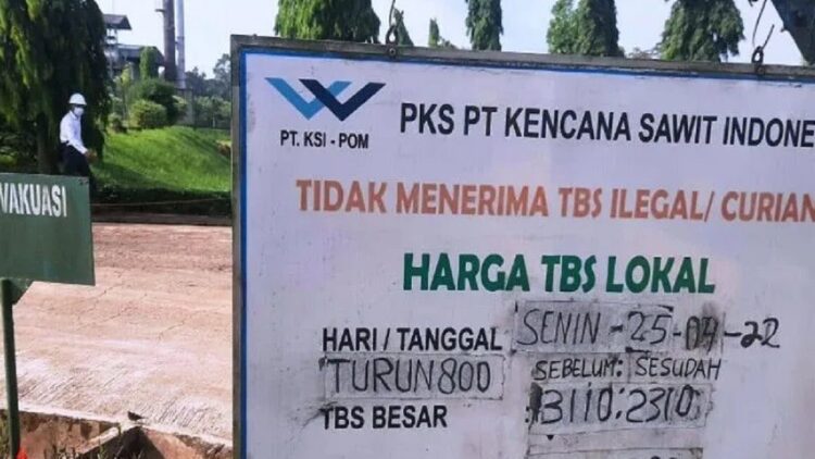 Pengumuman harga sawit turun.