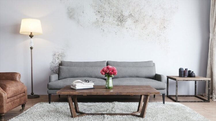 ilustrasi rumah lembab