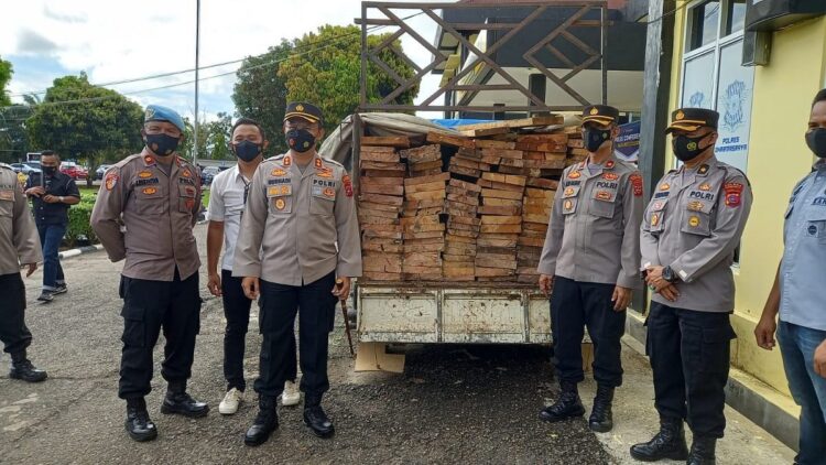 Kayu ilegal diamankan Polres Dharmasraya.