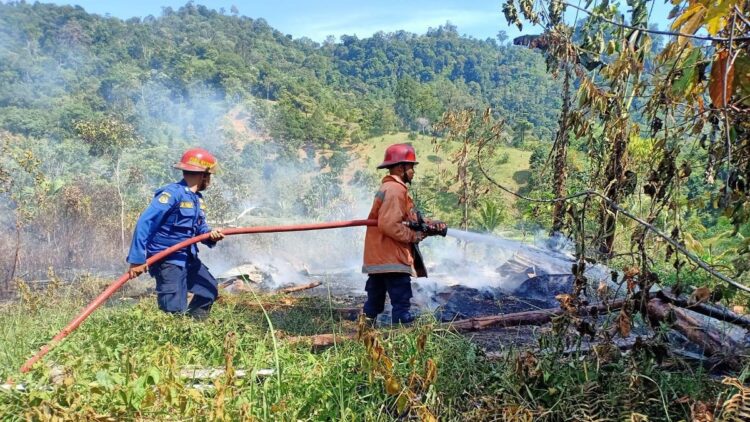 Petugas Damkar Kota Padang memadamkan kebakaran lahan yang terjadi beberapa waktu lalu.