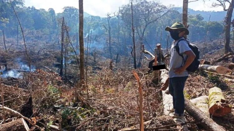 Petugas patroli BKSDA Sumbar mengecek lokasi hutan yang dibakar dan dirusak warga di Kabupaten Solok. (ANTARA/HO-BKSDA Sumbar)
