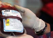 PMI: Kebutuhan Darah di Padang Capai 150 hingga 200 Kantong sehari
