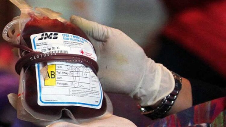 Ilustrasi kantong darah. (net)