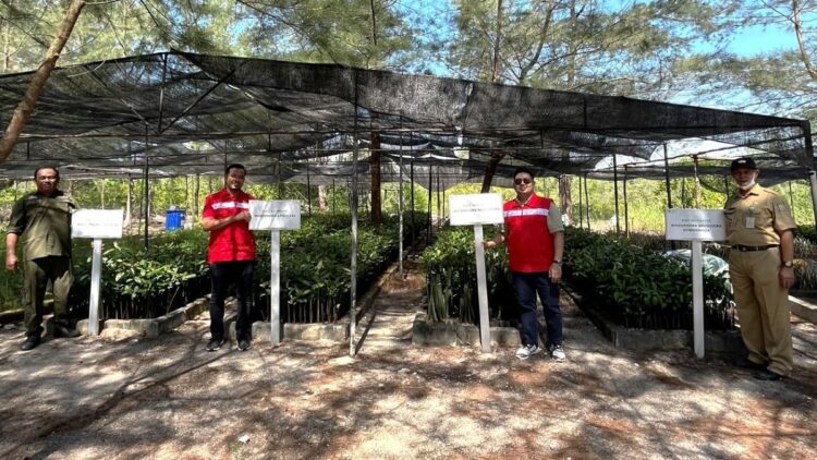 PT Elnusa Petrofin Kembangkan Area Pembenihan dan Gelar Aksi Tanam 500 Mangrove di Tanjung Pandan, Belitung.