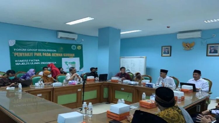 Potret MUI bersama para ahli yang sedang membahas panduan untuk ibadah qurban 2022 dan penyakit kuku dan mulut (PMK). (ANTARA/HO-MUI)