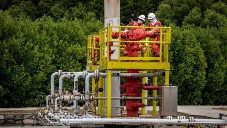 Ilustrasi - Pekerja melakukan aktivitas produksi minyak dan gas bumi. (ANTARA/HO-Pertamina)