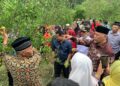 Petani Kesulitan Dapat Pupuk Subsidi, Pemprov Sumbar Siapkan Pupuk Batubara