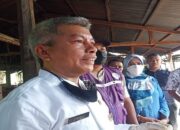 Belasan Ekor Sapi yang Terjangkit PMK di Padang Sudah Diisolasi