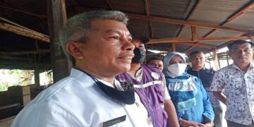 Belasan Ekor Sapi yang Terjangkit PMK di Padang Sudah Diisolasi 8 Belasan Ekor Sapi yang Terjangkit PMK di Padang Sudah Diisolasi