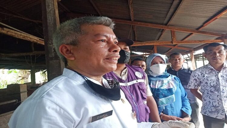 Belasan Ekor Sapi yang Terjangkit PMK di Padang Sudah Diisolasi 1 Kepala Dinas Pertanian Kota Padang Syahrial Kamat. (IST)