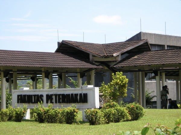 Alumni Fakultas Peternakan Unand Lintas Angkatan Gelar Reuni Akbar dan HBH 1 Kampus Fakultas Peternakan Unand di Limau Manis Padang.