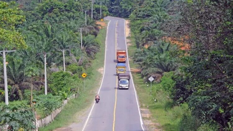 Sejumlah kendaraan melintas di Jalan Lintas Timur Sumatera, Sekernan, Muarojambi, Jambi, yang berbatasan dengan Provinsi Riau, Sabtu (8/5/2021).  (ANTARA/Wahdi Septiawan)