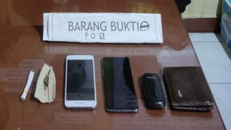 Barang bukti ganja di Padang Pariaman.