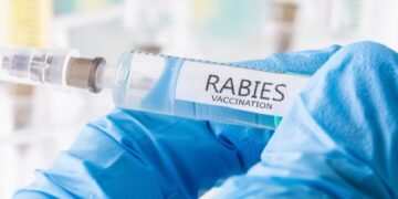 ilustrasi vaksin rabies