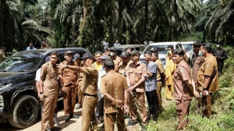 Bupati Solok Selatan, Khairunas meninjau pembangunan jalan tembus Solok Selatan-Dharmasraya. (ANTARA/HO-Diskominfo Solok Selatan)