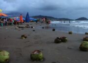 Pemko Padang Angkut 20 Ton Sampah di Pantai Akibat Hujan