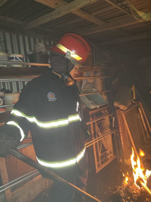 Bersarang di Rumah Warga, Petugas Damkar Bantu Evakuasi Sarang Lebah 1 Petugas damkar Padang mengusir lebah yang bersarang di rumah warga. (IST)