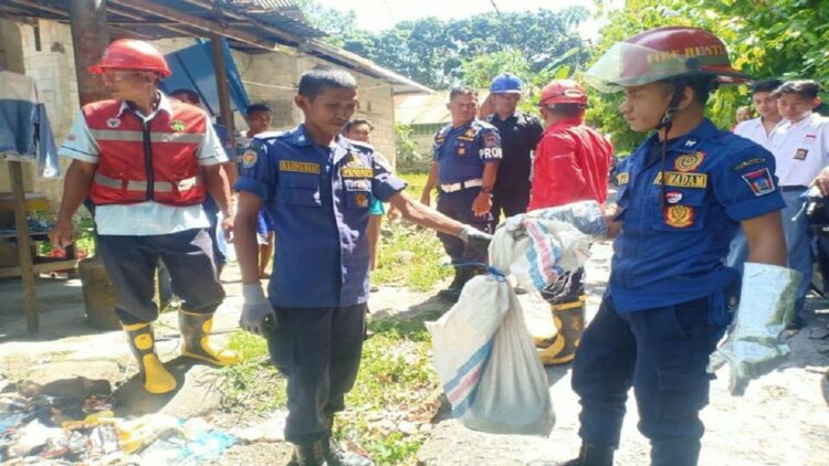 Lagi, Petugas Damkar Padang Evakuasi King Kobra Sepanjang 3 Meter dari Rumah Warga 1 Petugas Damkar Padang berhasil mengevakuasi seekor king kobra. (IST)